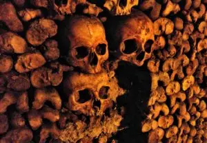 Stories From The Shadows skulls Paris